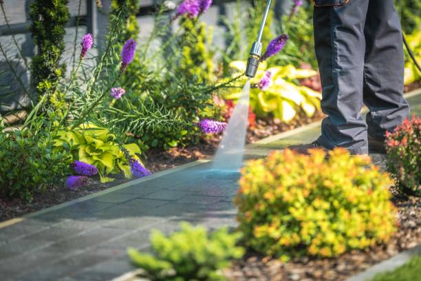 Best Fence Cleaning and Maintenance in Angustura, NM