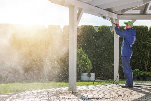 Best Soft Washing for Delicate Surfaces in Angustura, NM